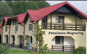 Pensiunea Magnolia din Tismana